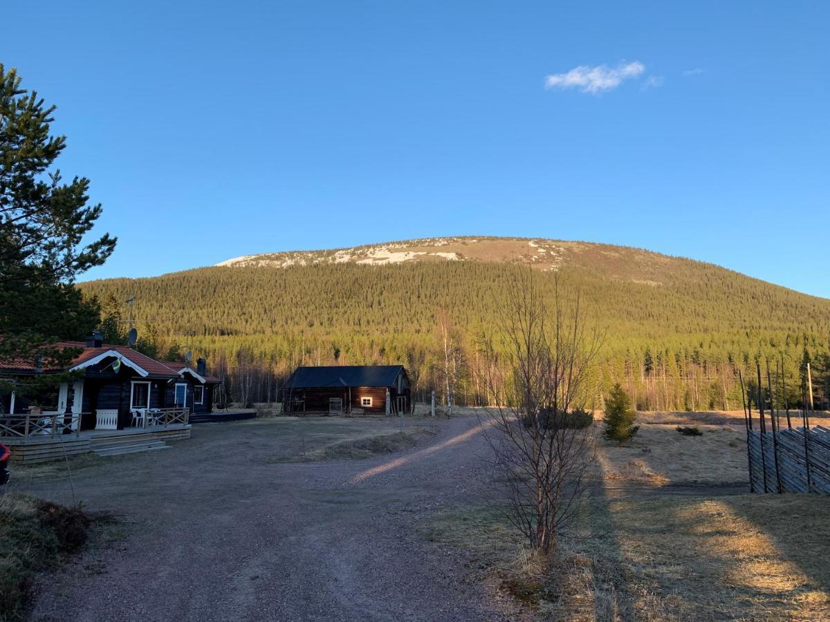 Nymon Mountain Lodge Stöten Dış mekan fotoğraf