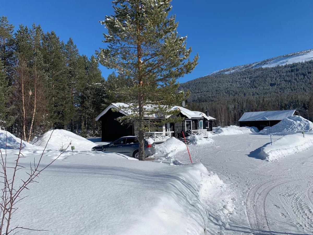 Nymon Mountain Lodge Stöten Dış mekan fotoğraf