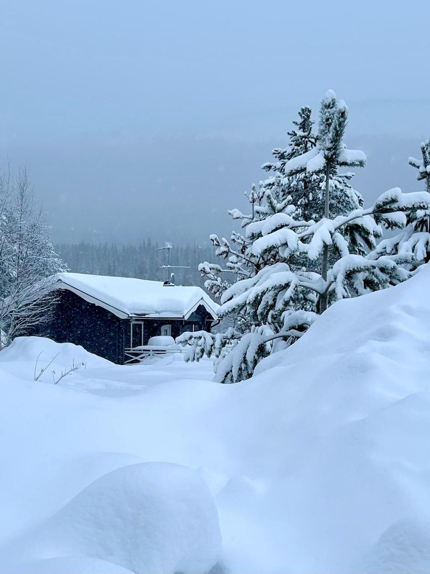 Nymon Mountain Lodge Stöten Dış mekan fotoğraf