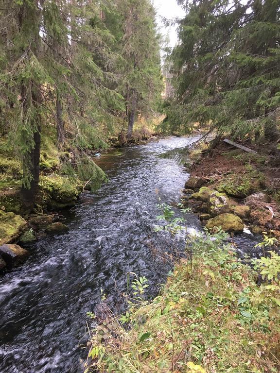 Nymon Mountain Lodge Stöten Dış mekan fotoğraf