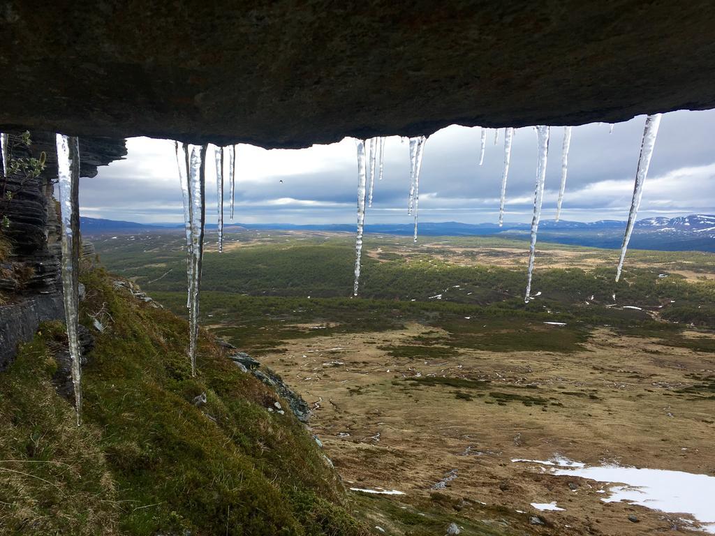 Nymon Mountain Lodge Stöten Dış mekan fotoğraf